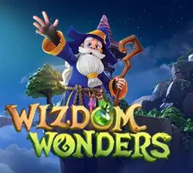 Wizdom Wonders