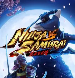 Ninja vs Samurai