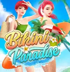 Bikini Paradise
